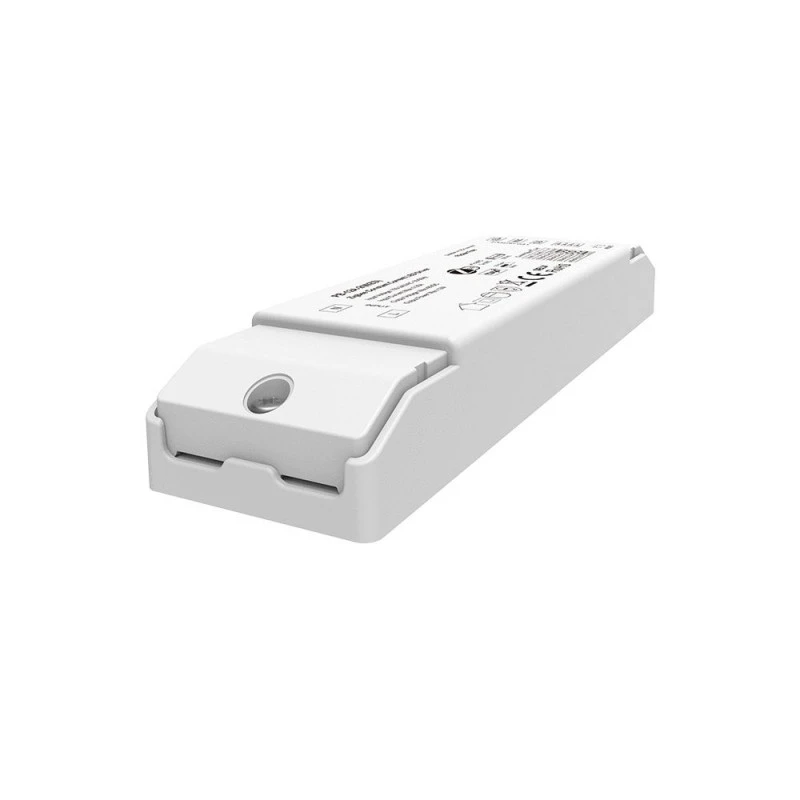 2CH CCT ZigBee 3.0 LED Sürücü Sabit Akım (150-450mA)